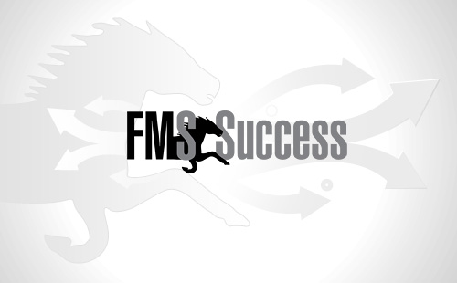 - «FMS Success»